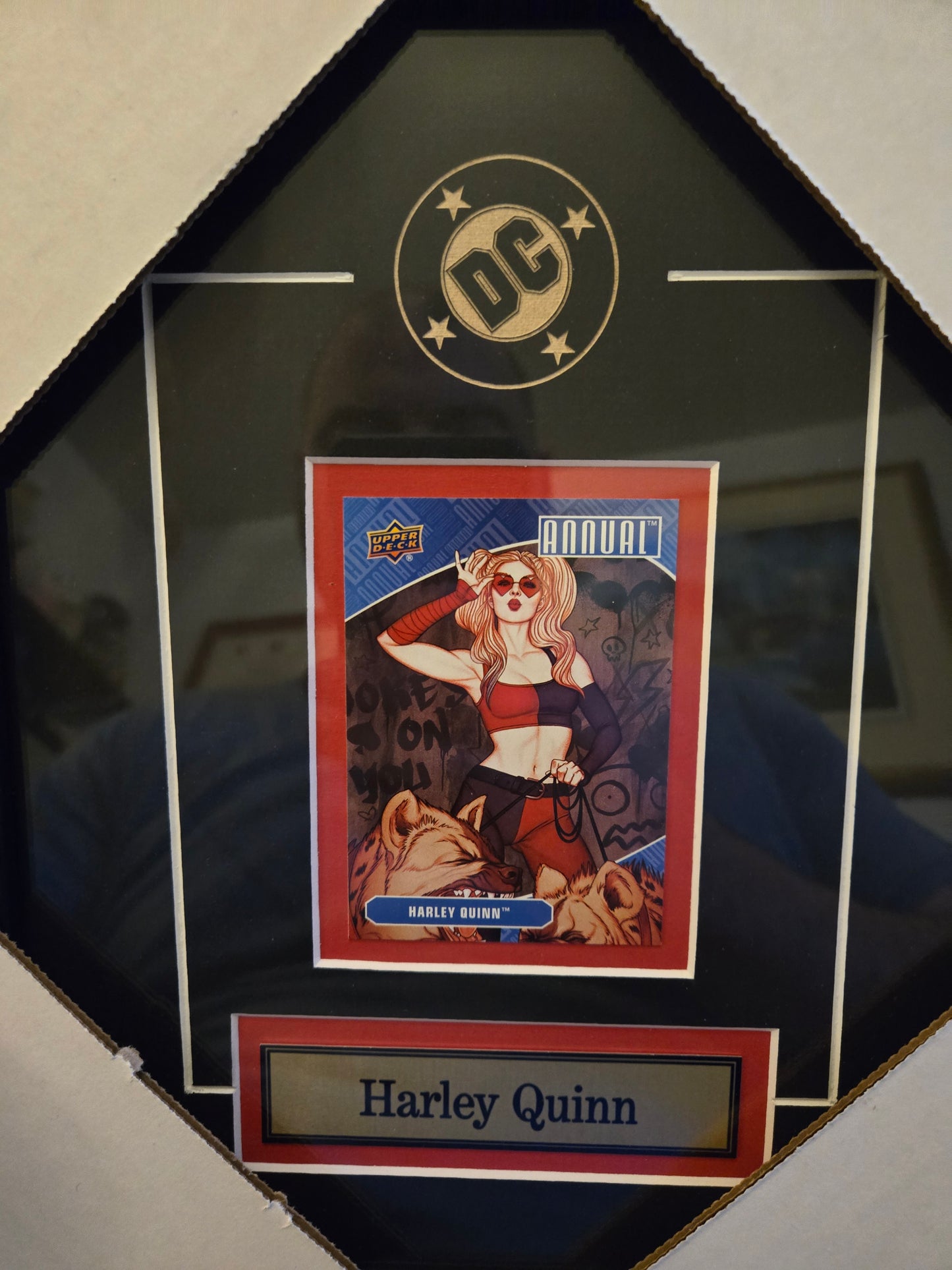 DC Comics Suicide Squad Harley Quinn Single Card Collector Frame
