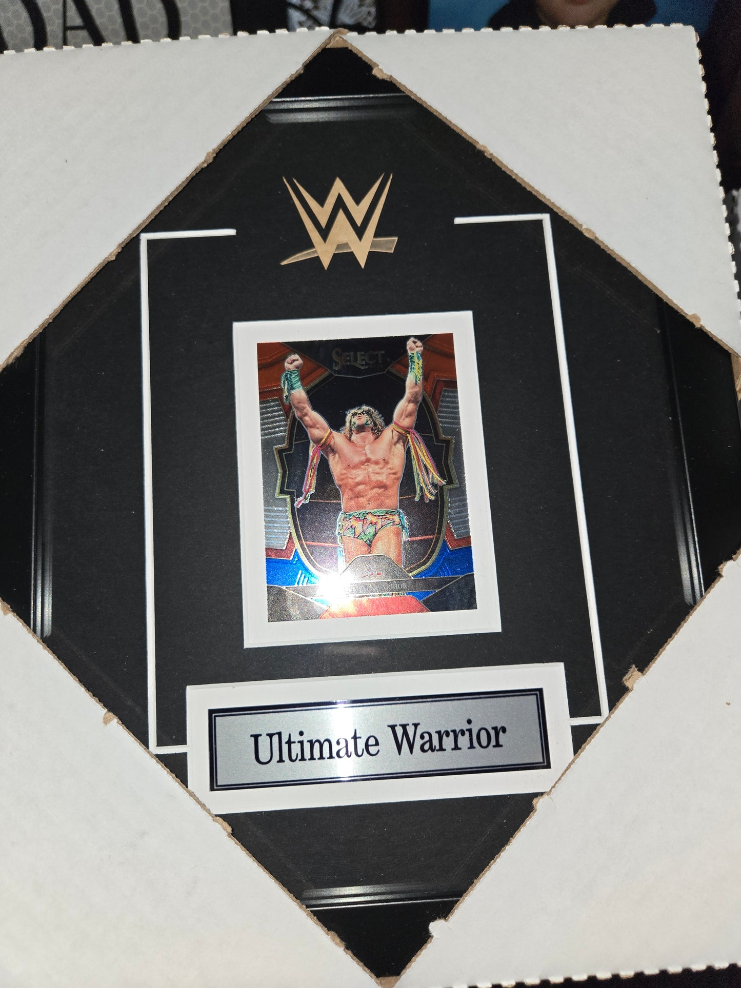 12x10 WWE WWF NWO WCW Ultimate Warrior Single Card Collector Frame