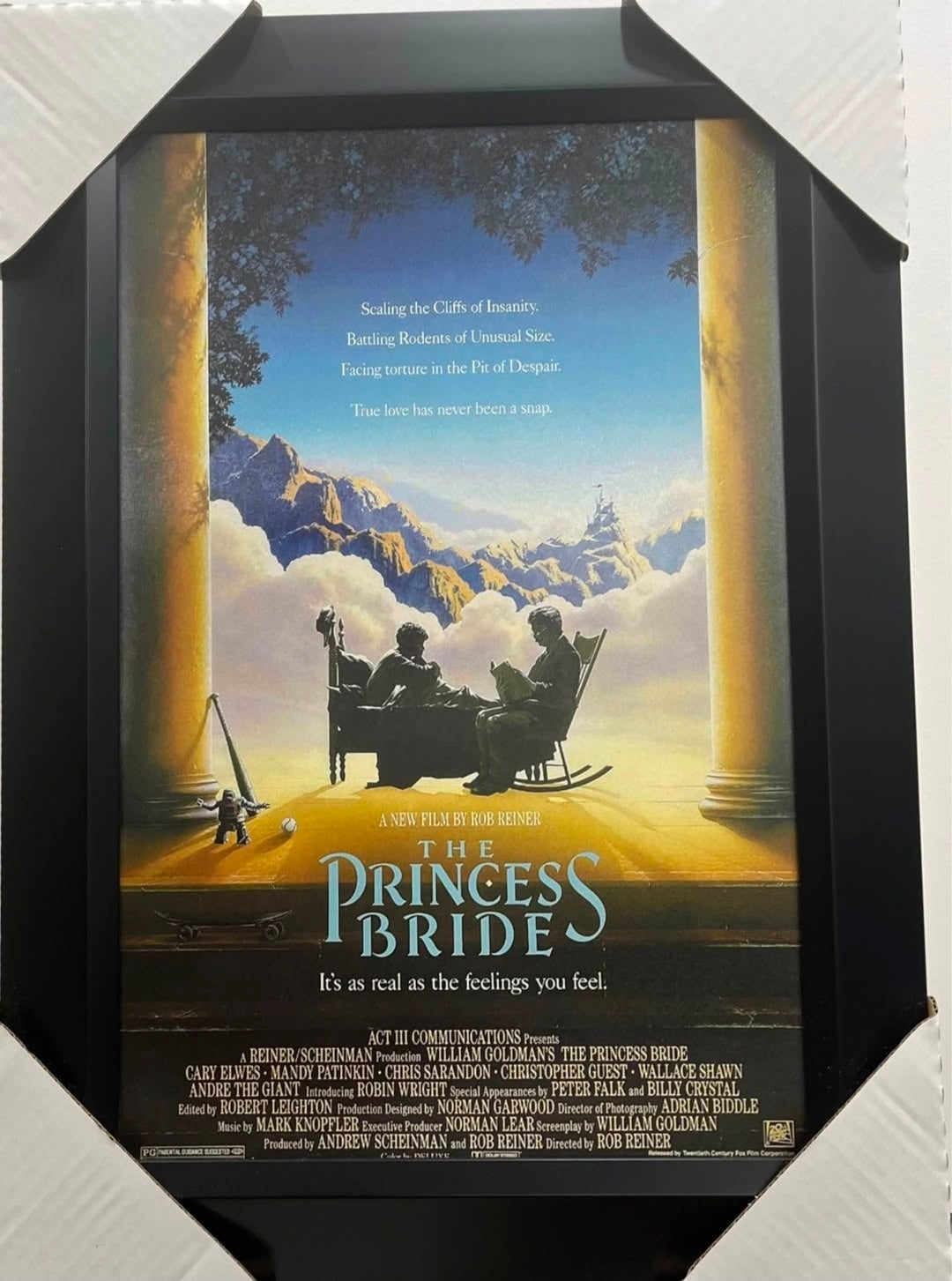21x16 Movie The Princess Bride Textured Fine Art Print