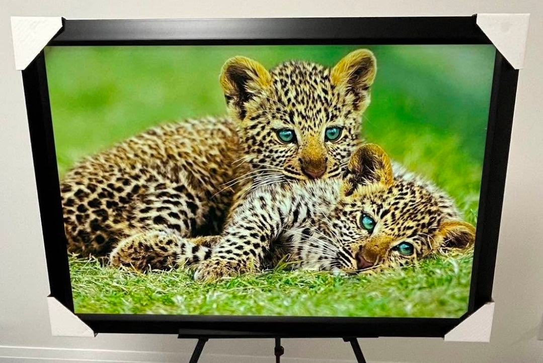 26x38 Wall Art Animals Cheetahs Textured Fine Art Print