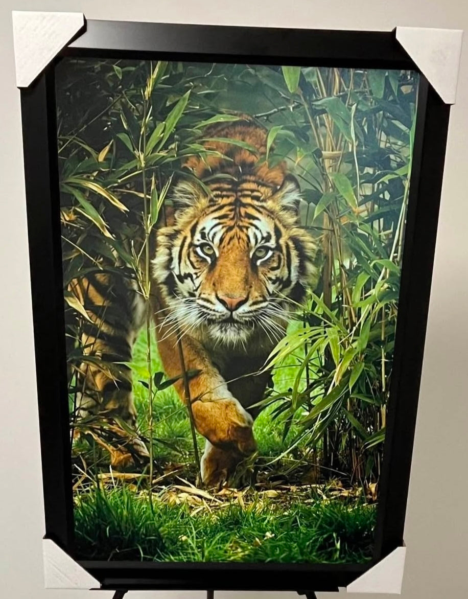 26x38 Wall Art Animals Tiger Textured Fine Art Print