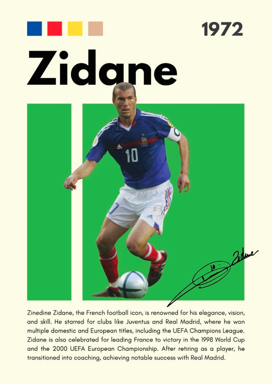 21x16 Soccer France Zidane Textured Fine Art Print Facsimilie Autograph