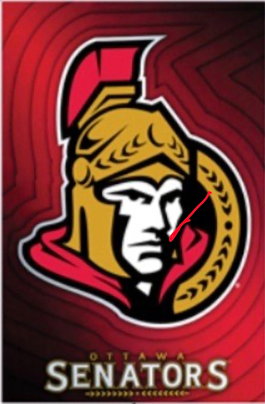 21x16 NHL Ottawa Senators Team Logo Emblem Textured Fine Art Print
