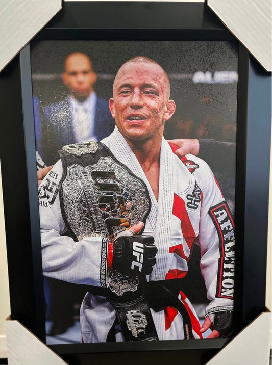 21x16 UFC Champion George Rush St Pierre GSP Textured Art Print