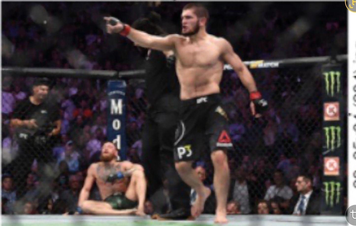 21x16 UFC Champion Khabib Textured Art Print