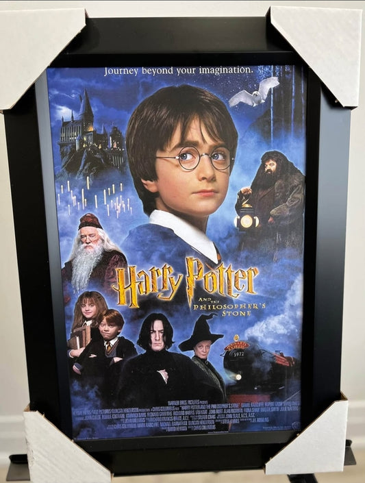 21x16 Harry Potter Textured Fine Art Print