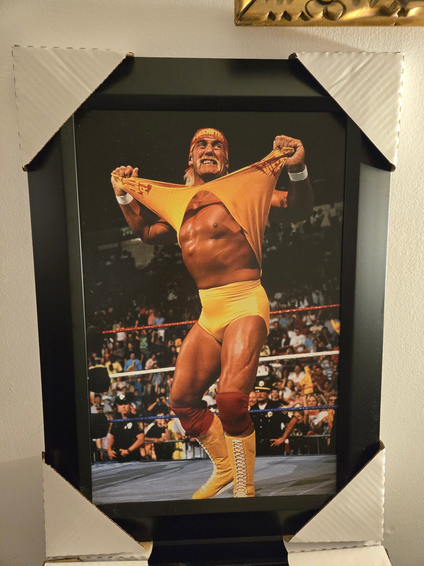 21x16 WCW WWE WWF NWO Immortal Hulk Hogan Textured Art Print
