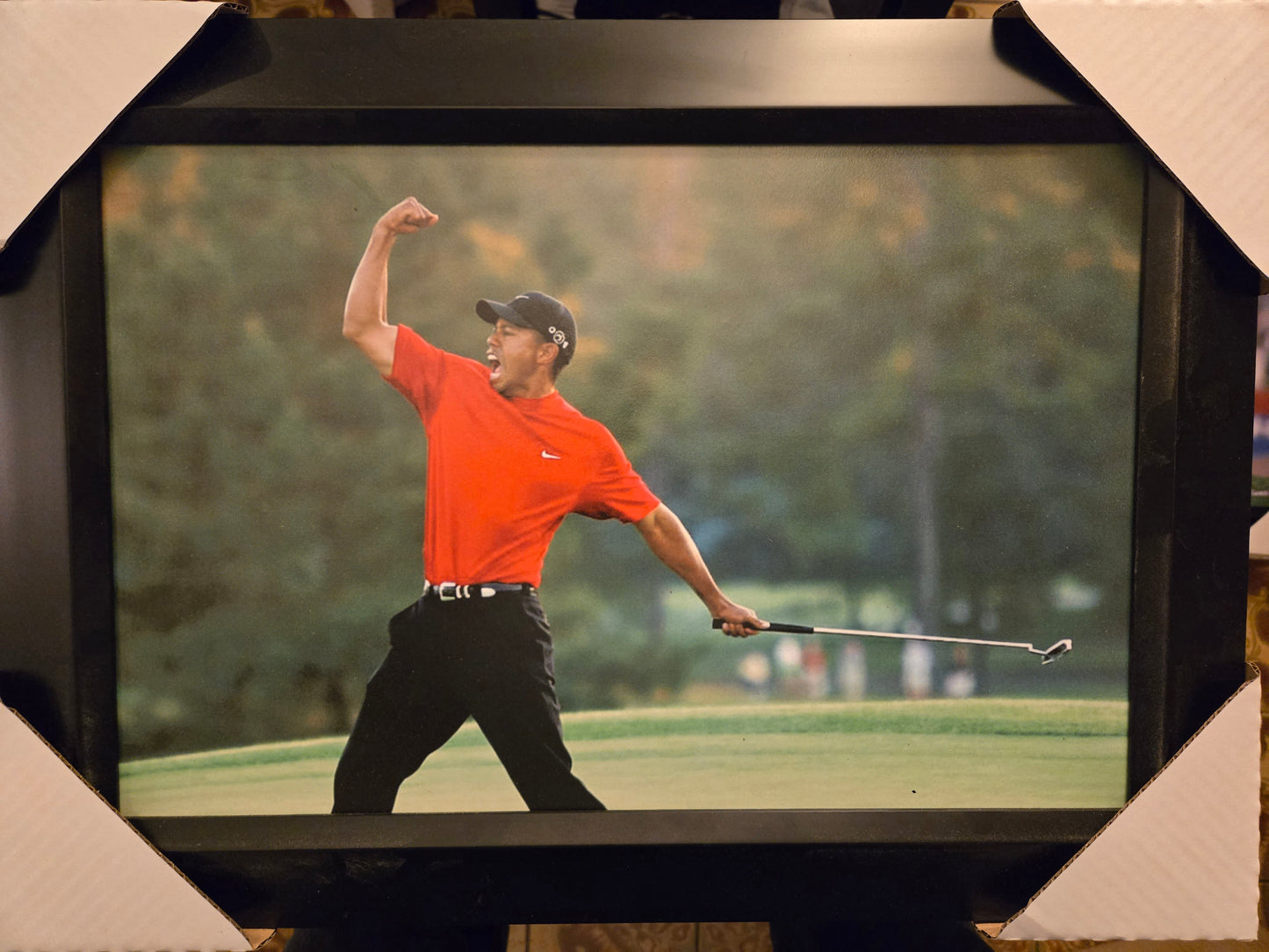 21x16 PGA Masters Golf Champion Tiger Woods Collage Textured Fine Art Print