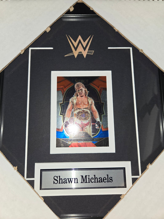12x10 WWE WWF NWO WCW Shawn Michaels HBK Single Card Collector Frame
