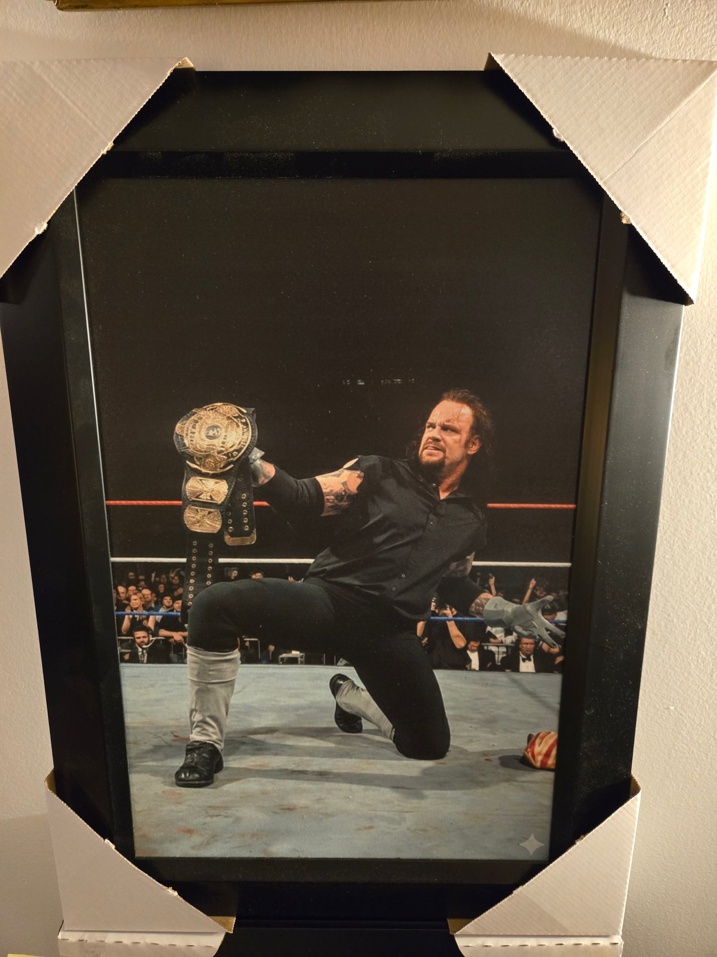 21x16 WCW WWE WWF NWO The Undertaker Wrestlemania Textured Art Print