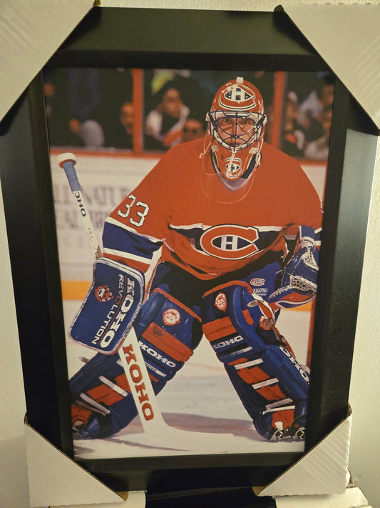 21x16 NHL Montreal Canadiens Patrick Roy Textured Fine Art Print